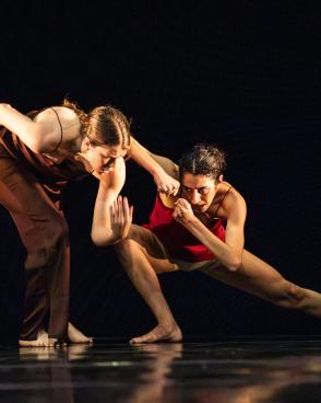 Bolognino Adriano, Di Maro Rosaria, Dell'Agnese Laura, Roggerini Cristina