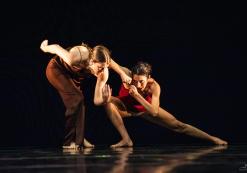 Bolognino Adriano, Di Maro Rosaria, Dell'Agnese Laura, Roggerini Cristina